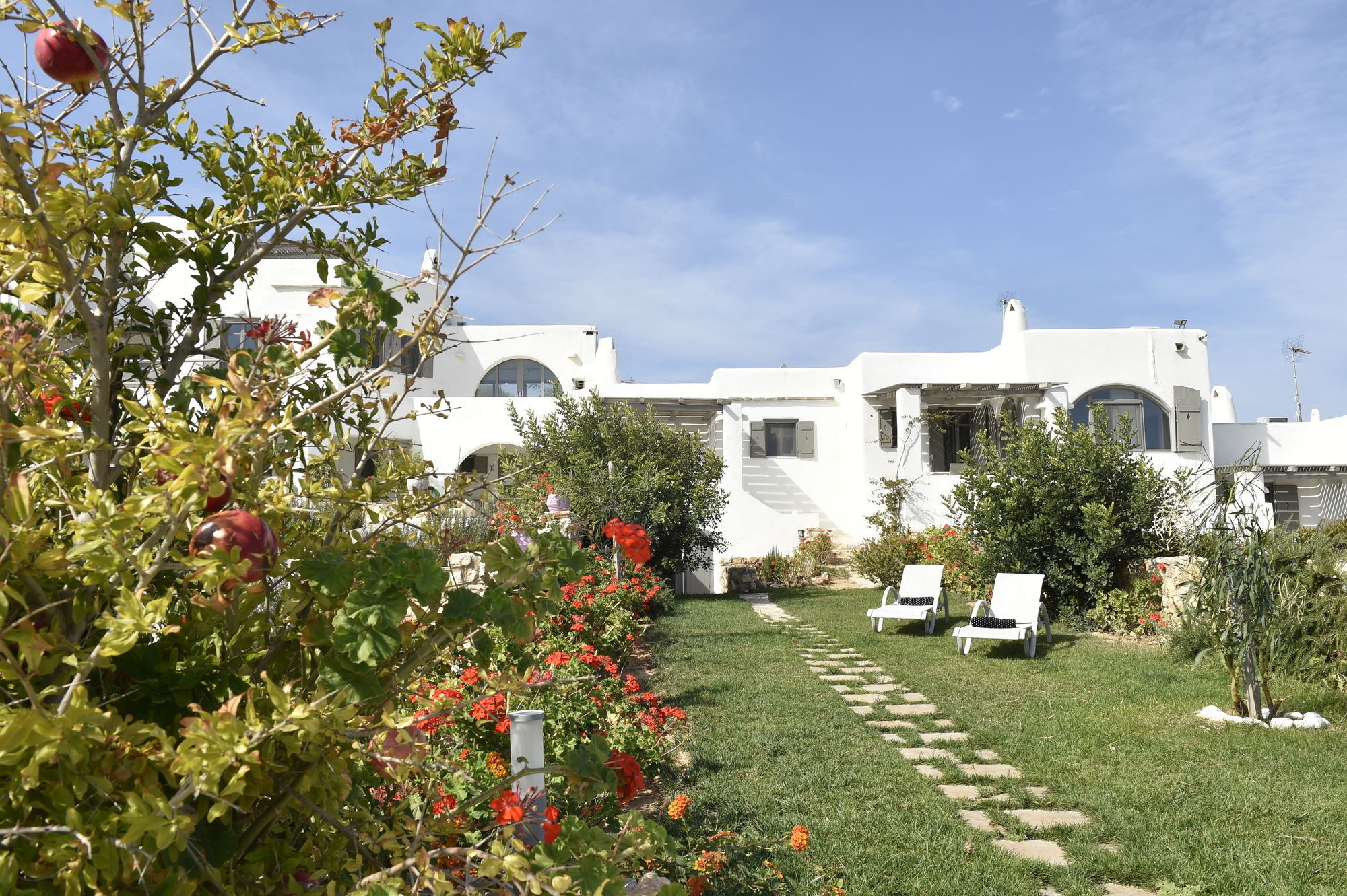 פארוס Naoussa Hills Boutique Resort- Adults Only מראה חיצוני תמונה