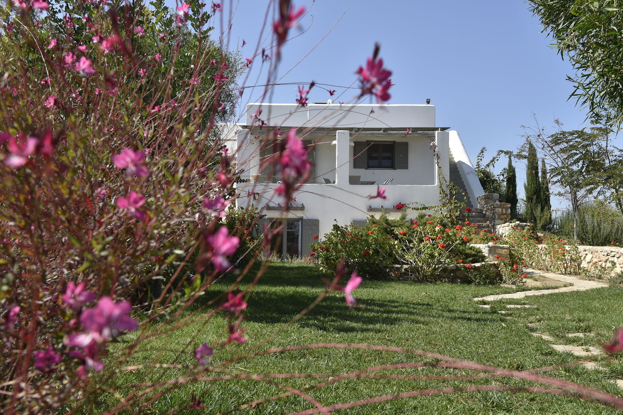 פארוס Naoussa Hills Boutique Resort- Adults Only מראה חיצוני תמונה